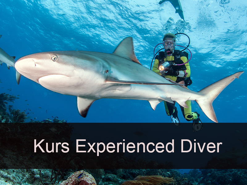 Kurs Experienced Diver 